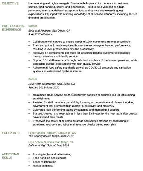 professional resume writing services houston