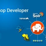 Hadoop Developer